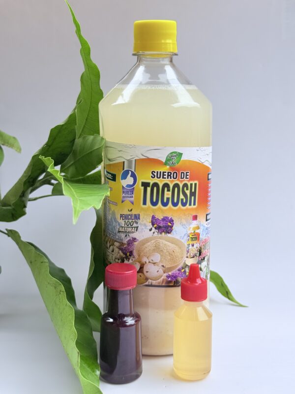 Tratamiento Gastritis : Tocosh - Sangre de Grado - Aceite de Copaiba